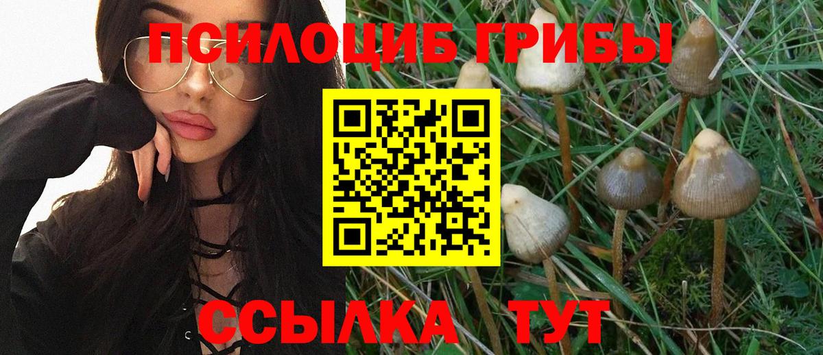 Шатура  Галлюциногенные грибы мухоморы  где продают   Вход с VPN  Псилоцибиновые грибы прущие грибы 