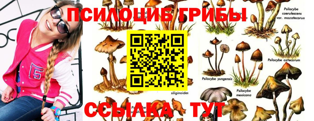 Псилоцибиновые грибы MAGIC MUSHROOMS Шатура