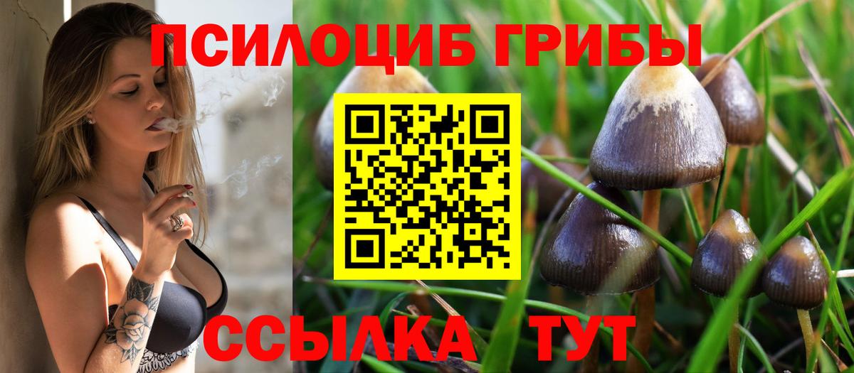 МЕТАДОН Шатура