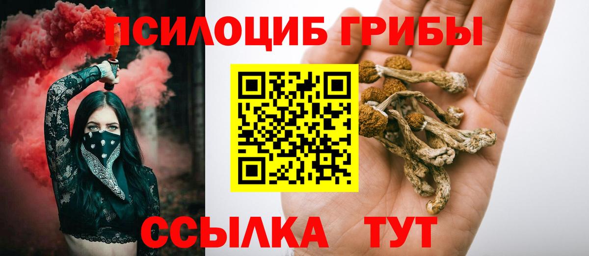 Псилоцибиновые грибы GOLDEN TEACHER Шатура